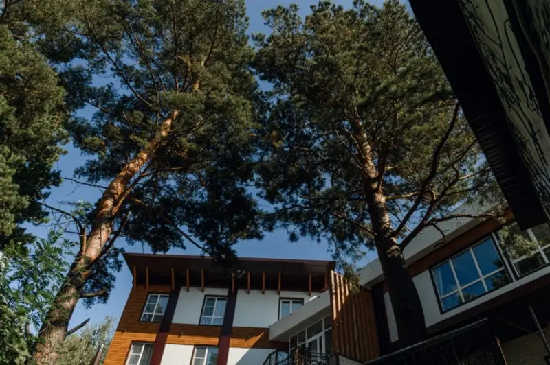 Каждый наш домик построен из натуральных материалов Каждый наш домик построен из натуральных материалов изображение